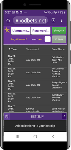 Hollywoodbets sports betting 2