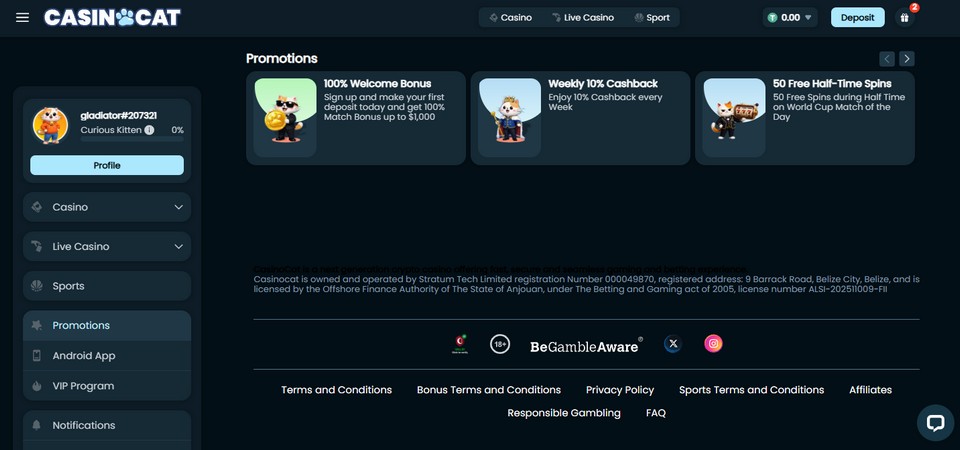 The screenshot of casino promo page