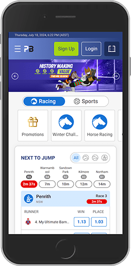 Mobile screenshot of the Palmerbet sport page