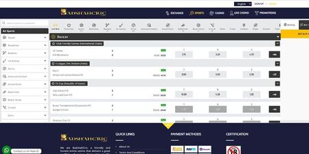 #3 website in New betting sites – Badshahcric