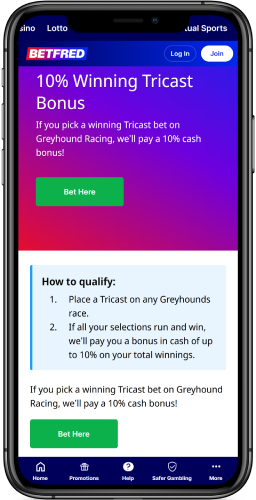 Greyhounds - 10% Winning Tricast Bonus