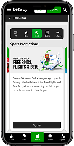 Free Spins, Flights, and Bets
