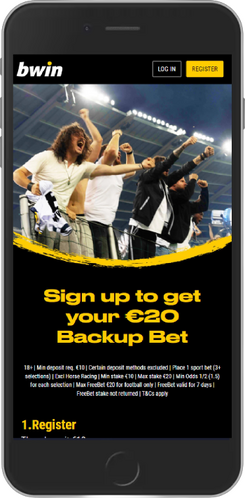 bwin bet