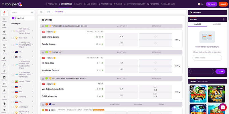 Screenshot of the TonyVet sport page