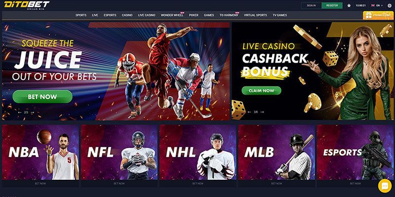 New betting site – DitoBet
