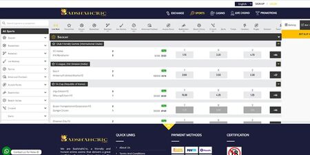 website for IPL bets – Badshahcric