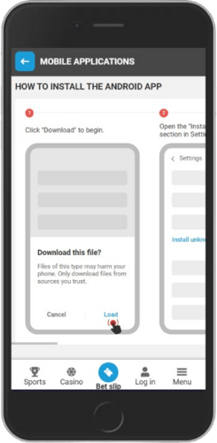 Screen of Megapari download page