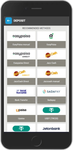Screen of Megapari payment options