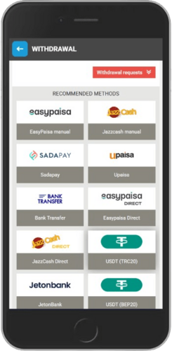 Screen of Megapari payment options