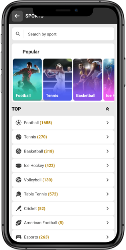 Mobile screenshot of the MelBet sport page
