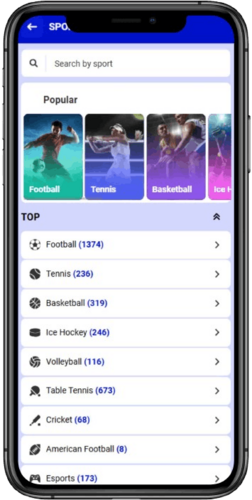 Mobile screenshot of the Paripesa sports page