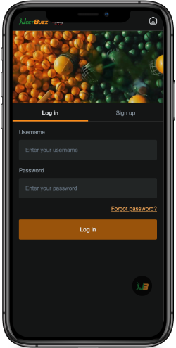 JeetBuzz mobile login page