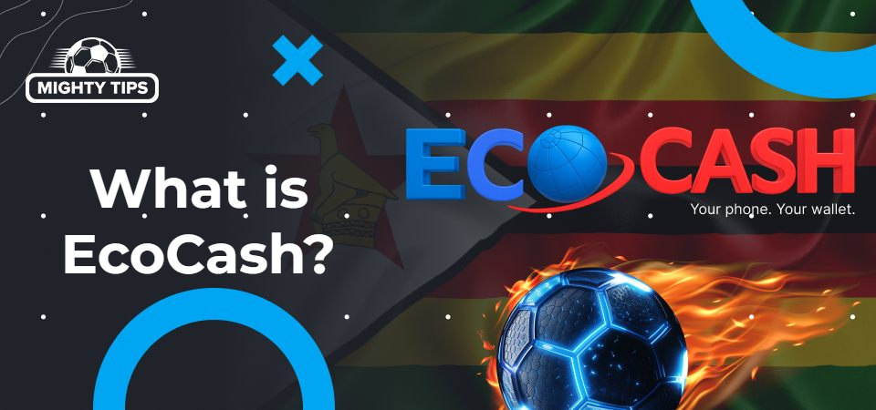 Graphics for block 'What is EcoCash?'