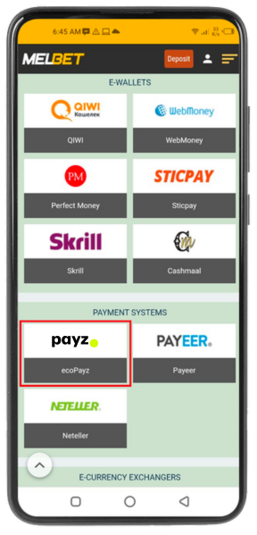 Screenshot of the list of available Melbet payment systems for withdrawing funds from mobile 