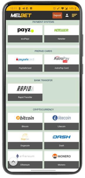 Screenshot of Melbet payment systems from mobile