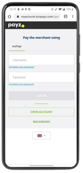 Mobile screenshot of logging into the Payz account