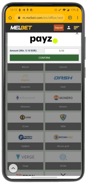 Screenshot of available e-wallet Payz from mobile