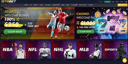 New bookmaker ditobet sports page