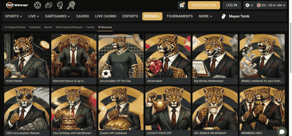 Screenshot of the DartWinner promo page