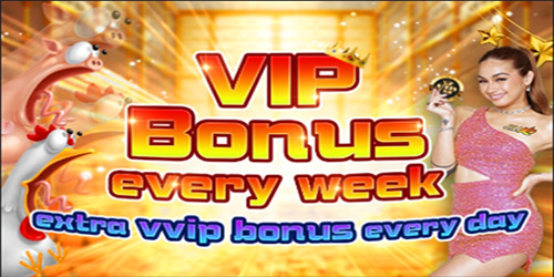 Jiliko Bonuses & Promotions