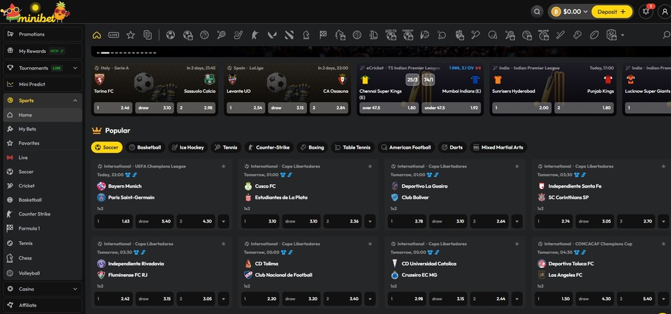 Screenshot of sports page at Minibet