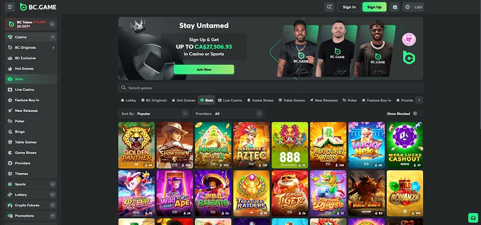 Screenshot of the BC.GAME casino page