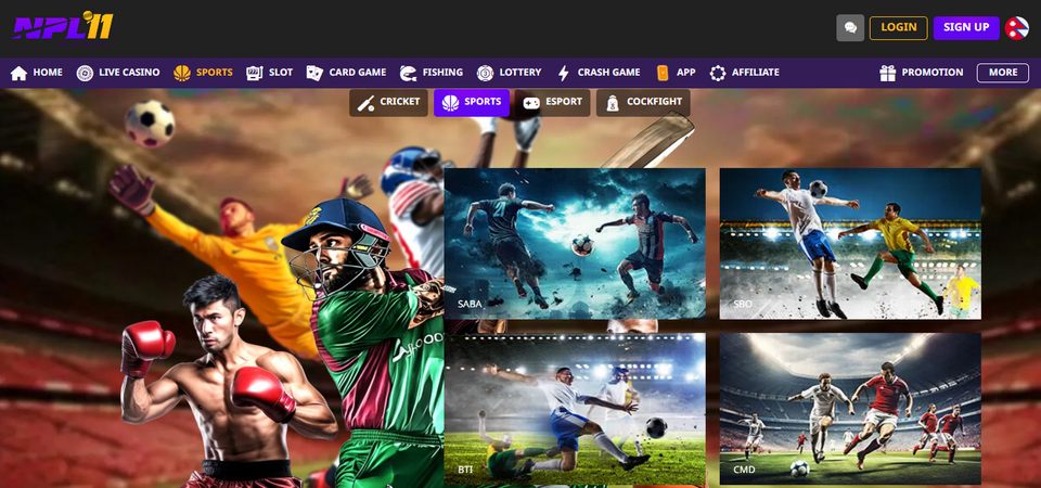 Screenshot of the NPL11 LIVE Betting page