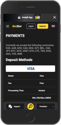 Mobile screenshot of the BetiBet payment methods