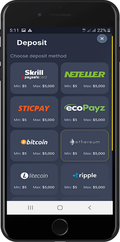 bettilt payment methods