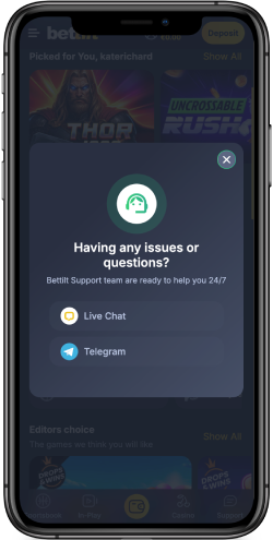 Mobile screenshot of the Bettilt support options