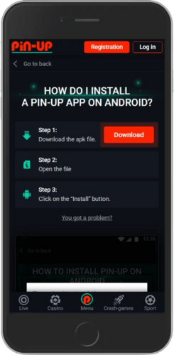 Mobile screenshot of the Pin-Up mobile apps