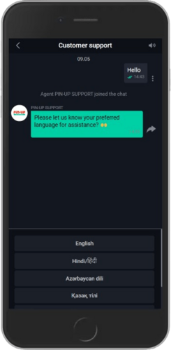 Mobile screenshot of the Pin-Up Contact page