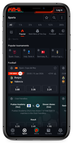 Mobile screenshot of the Pin-Up sport page