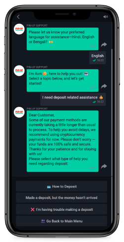 Mobile screenshot of the Pin-Up Contact page