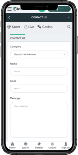 Screenshot of the Ivibet support page