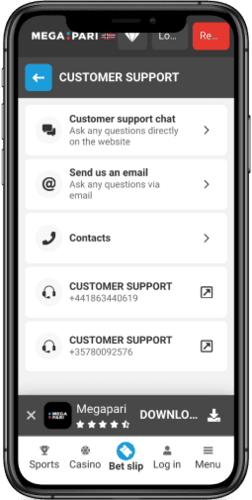 Screenshot of the Megapari support page