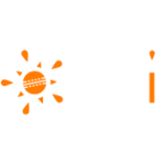 Desi logo
