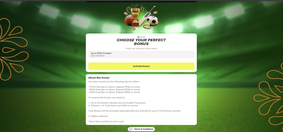 Screenshot of the Desi promo page