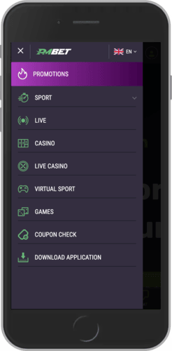 Mobile screenshot of the PMbet page about how to download the app