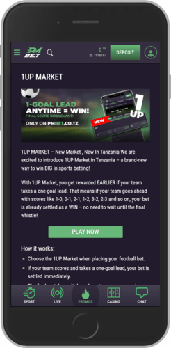 Mobile screenshot of the PMbet promo page details