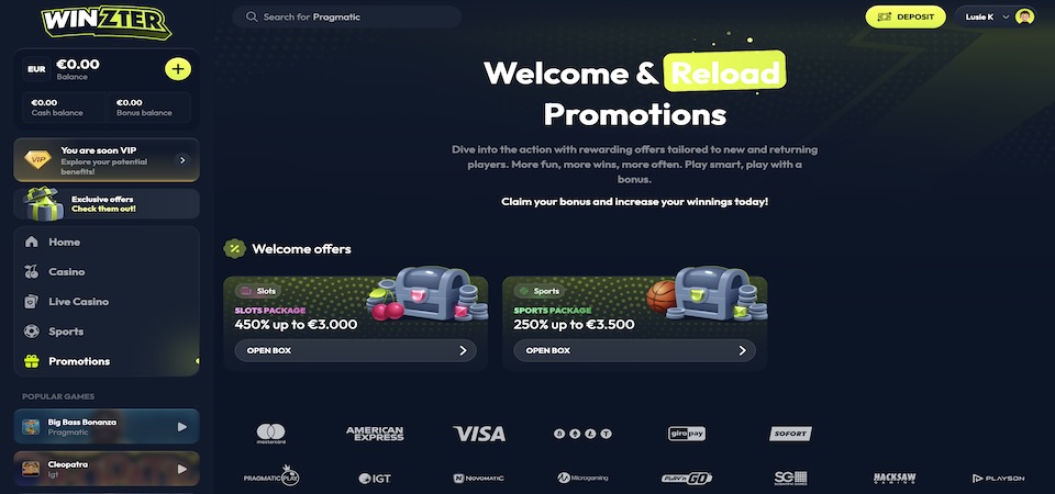 Screenshot promo page of Winzter