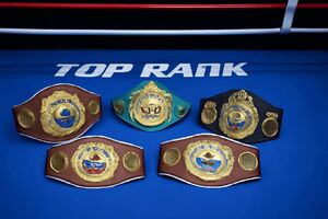 Canelo Alvarez vs Terence Crawford Prediction and Betting Odds