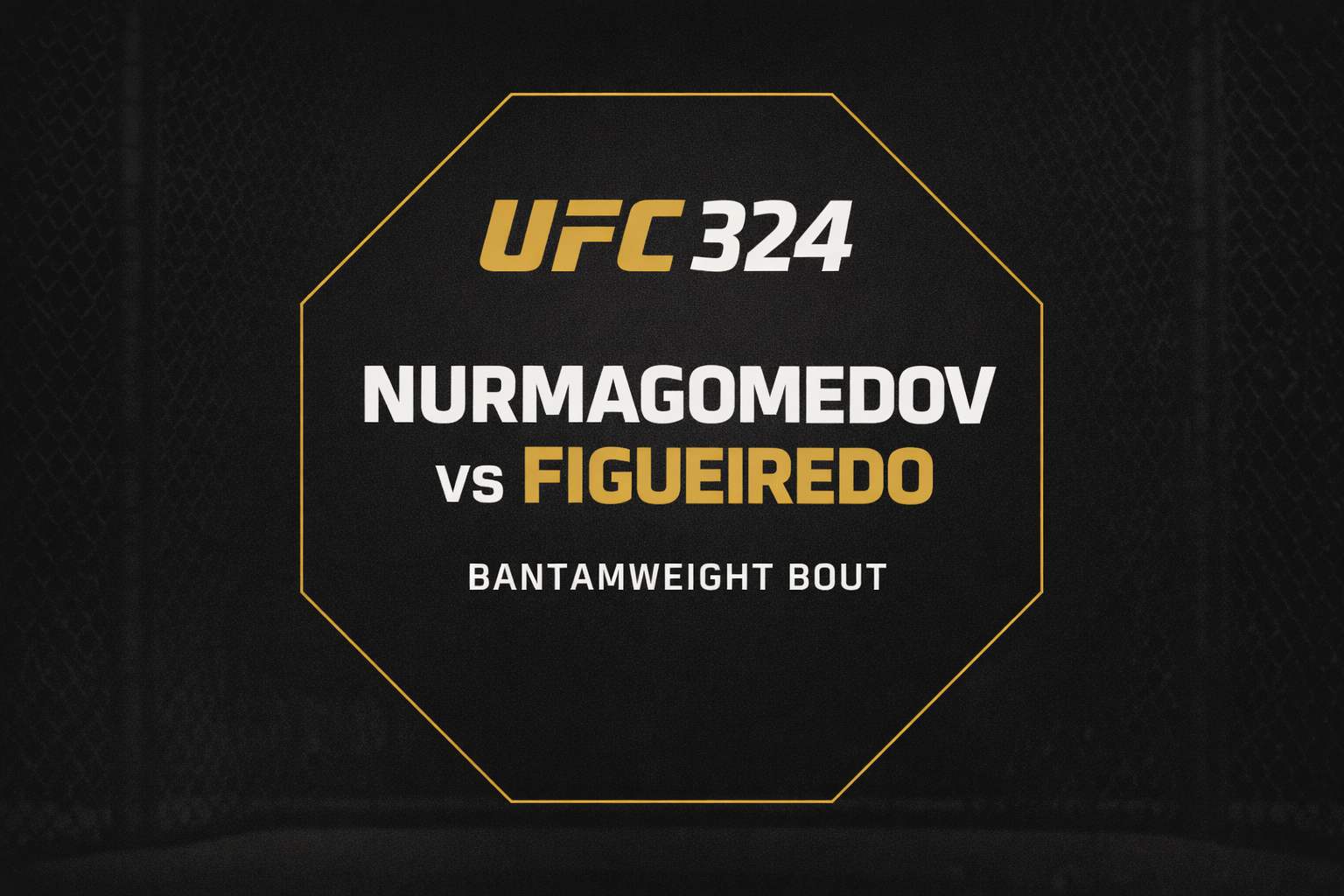 Nurmagomedov vs Figueiredo prediction