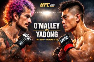 O'Malley vs Yadong Odds and Prediction for UFC 324 fight