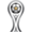 Icon Copa Sudamericana