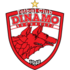Dinamo Bucuresti logo