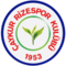 Rizespor logo
