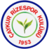 Rizespor logo