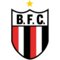 Botafogo SP logo