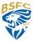 Brescia logo